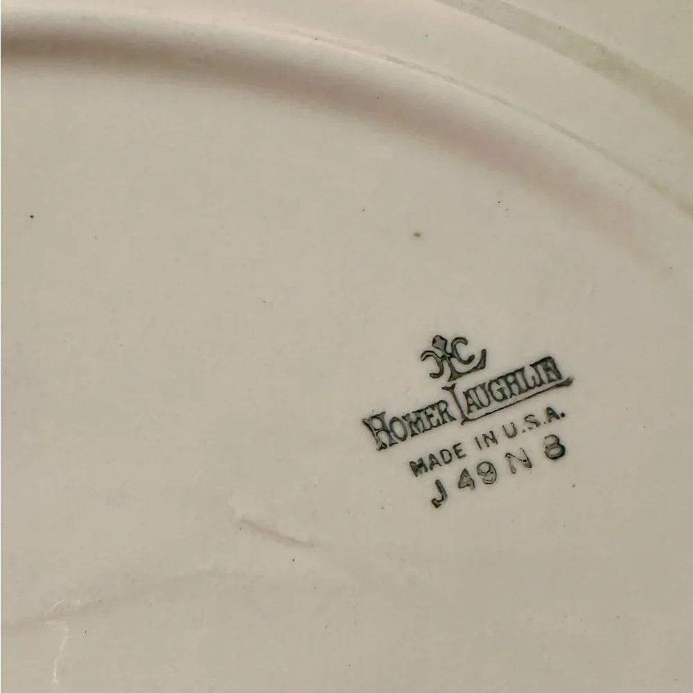 Homer Laughlin Floral 12 Inch Serving Platter Edged In Silver